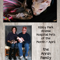 Kibby Pet of the Month